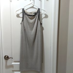 Ann Taylor Dress